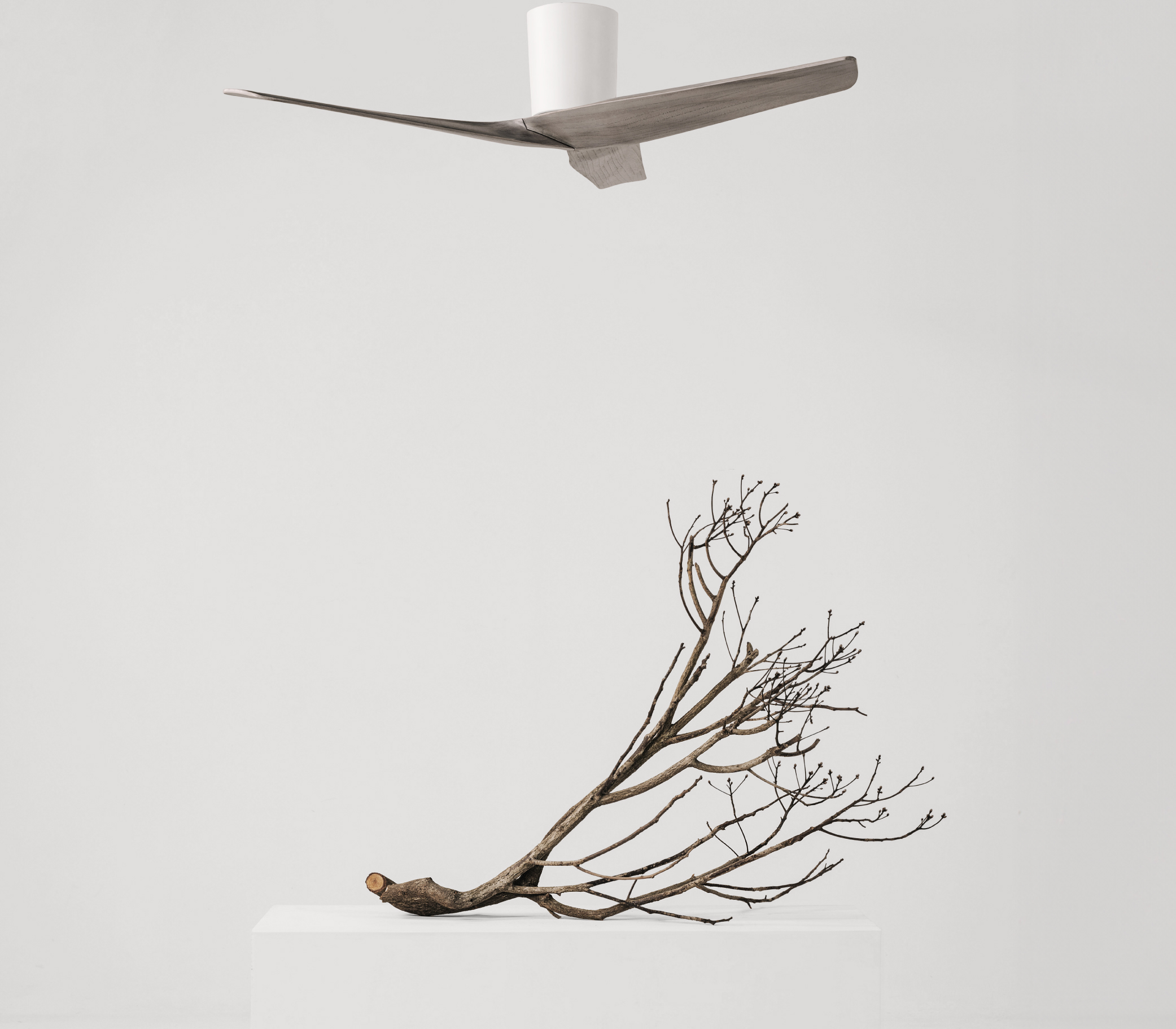 The Expression of Wood