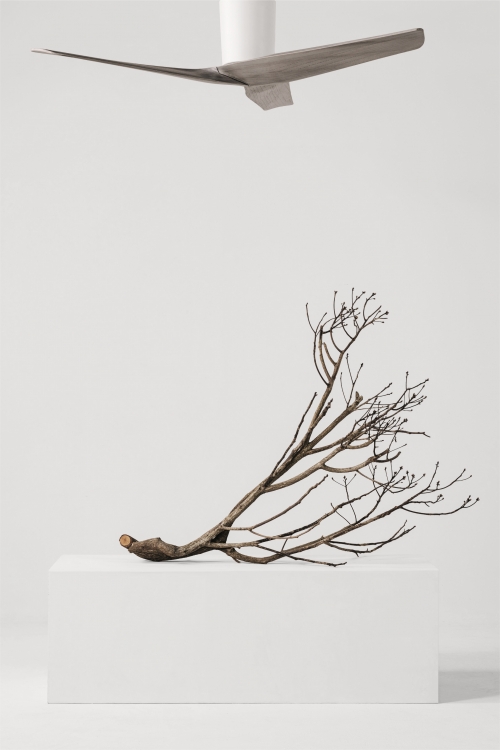 Expression of Grey Tone with Wood