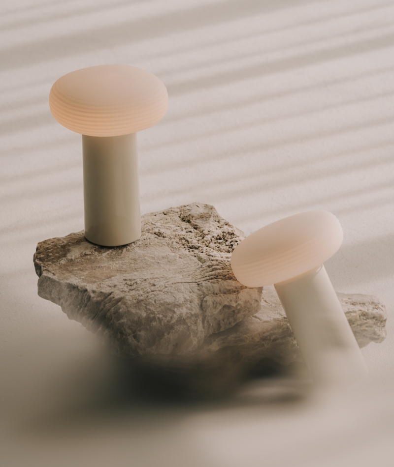 Light Moves With You