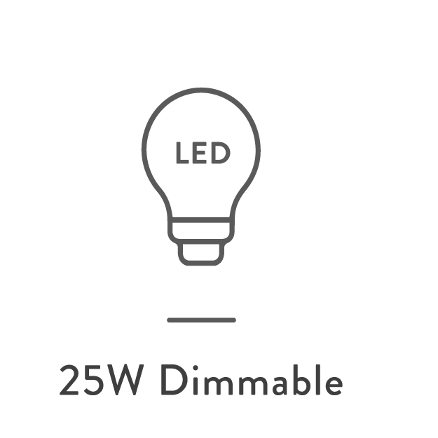 LED 25W 