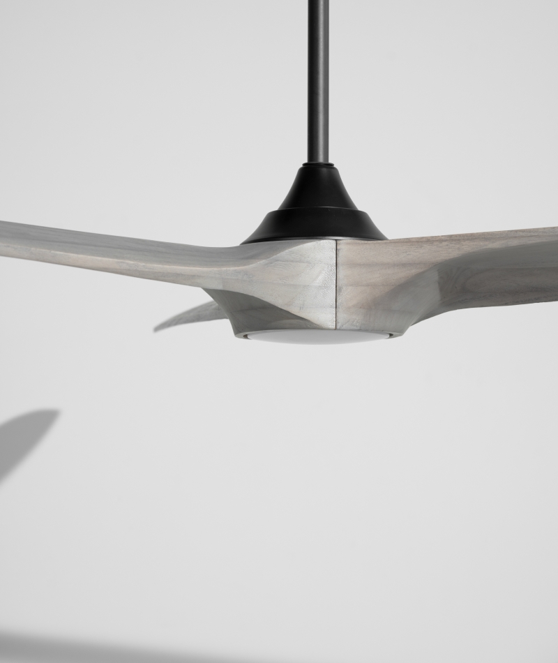 Color Within the Grain