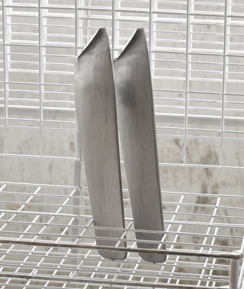 Color Within the Grain