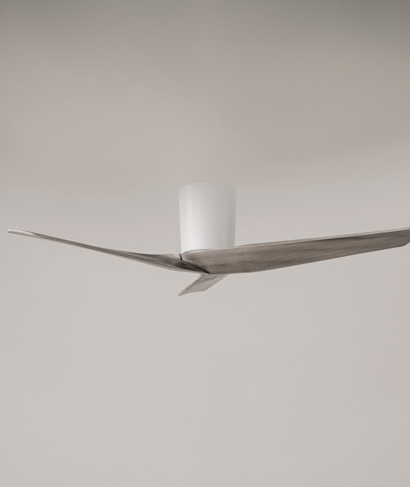 Color Within the Grain