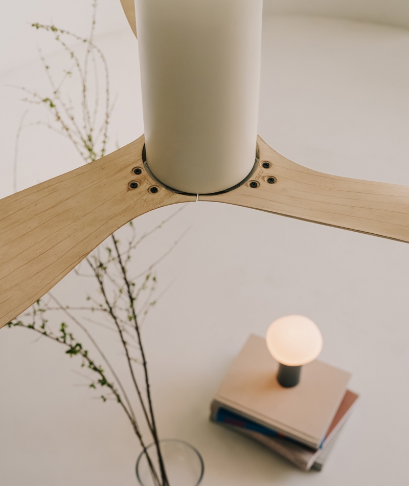 Form follows function