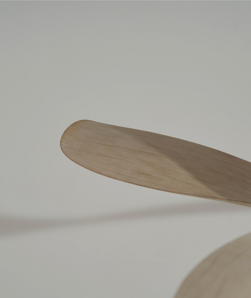 Guided by Curves