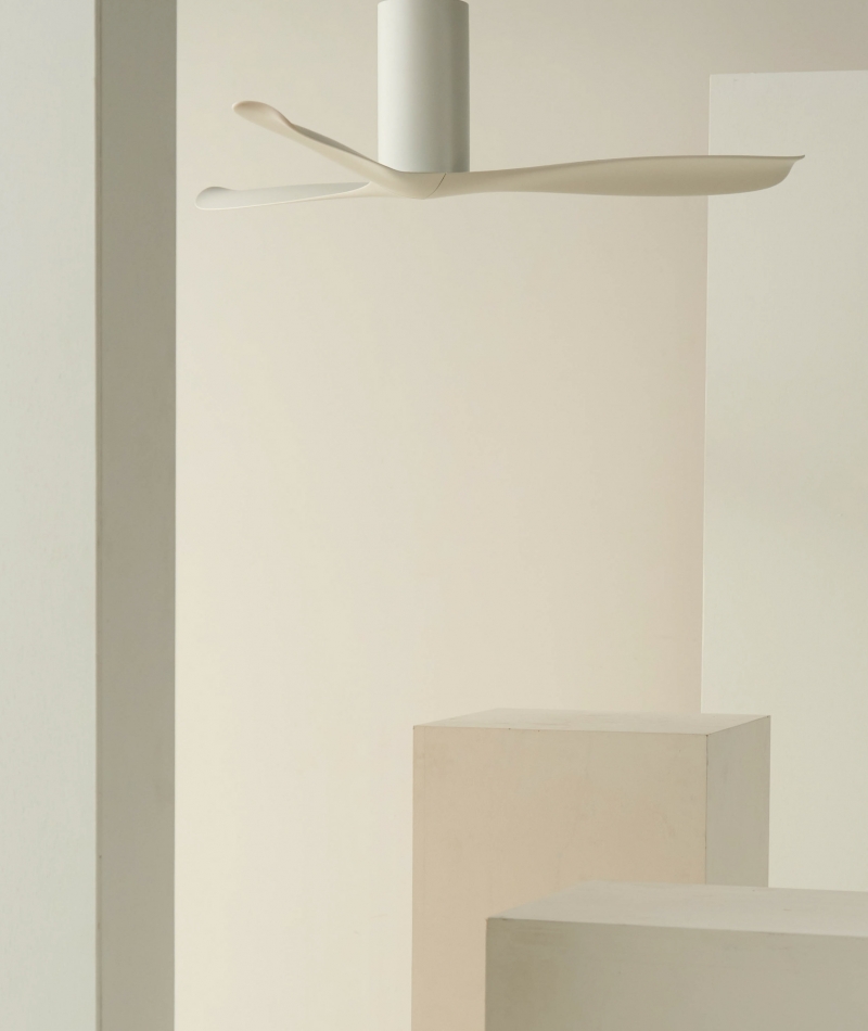Form follows function
