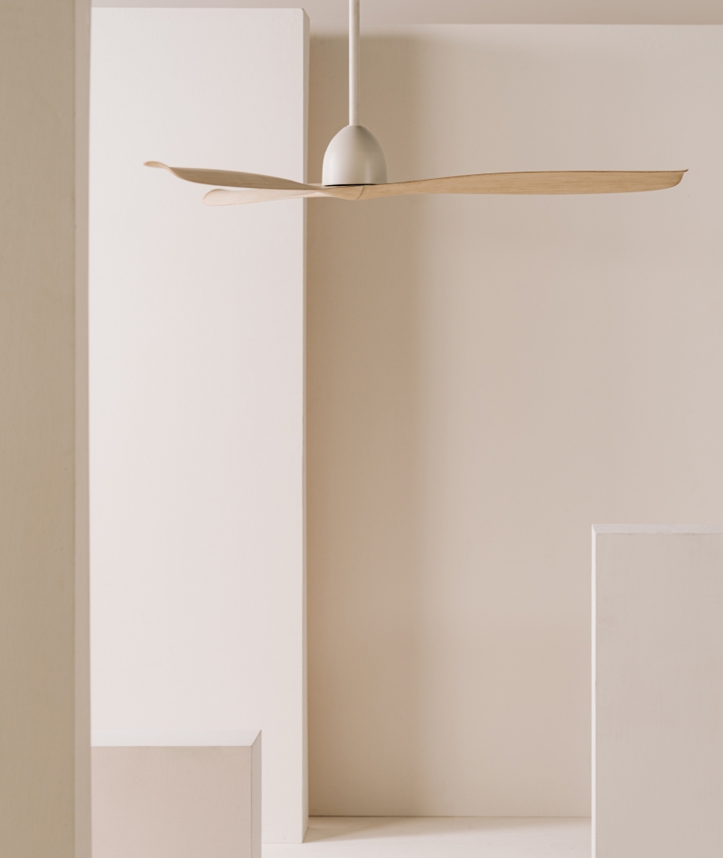 Form follows function