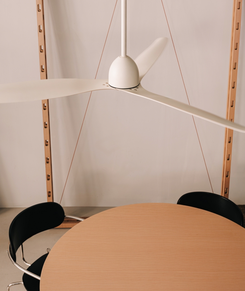 Form follows function