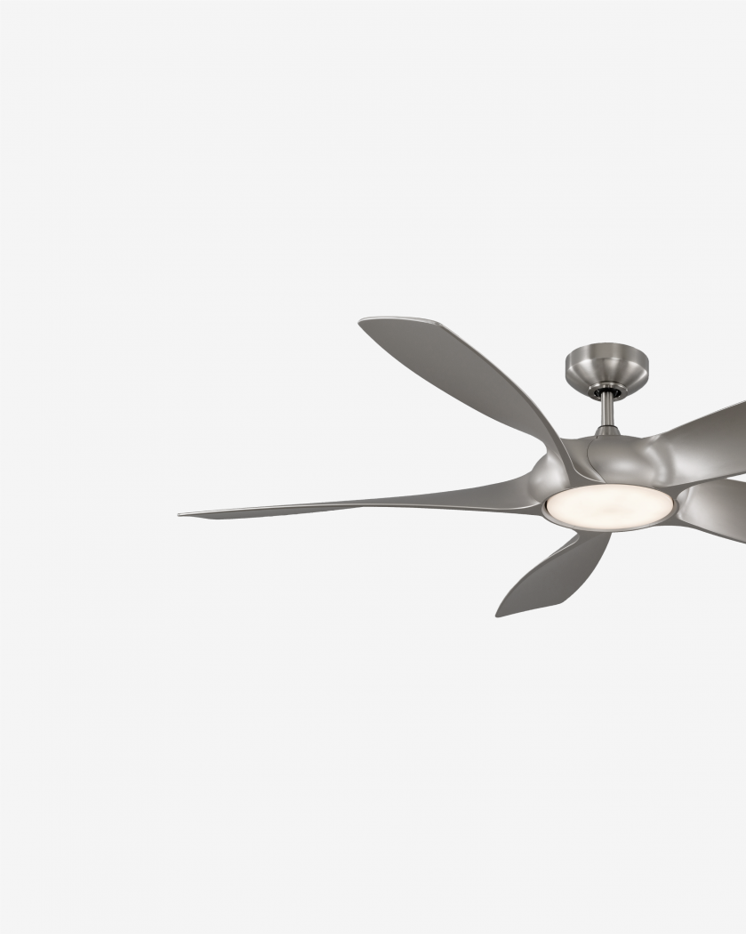 SILVERWING 54